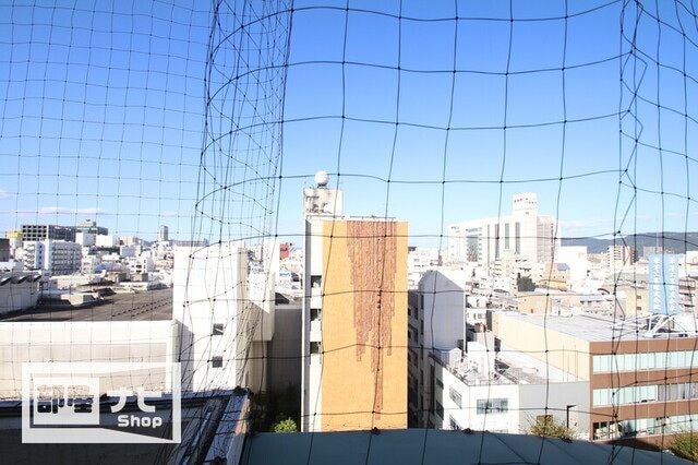  シティホワイト