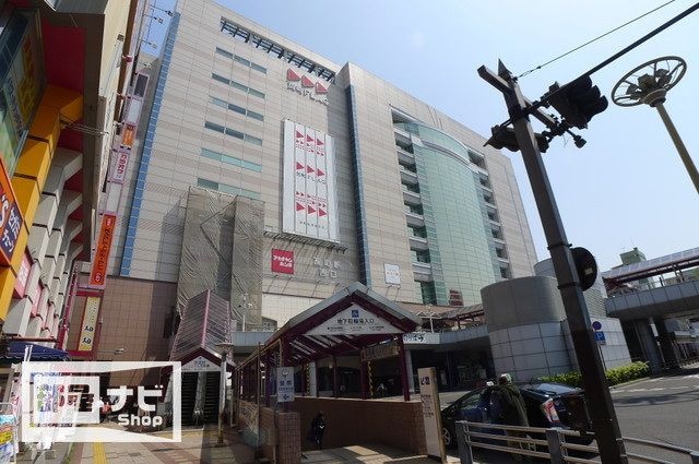  シティホワイト