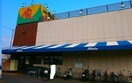 その他 アルフォートＢ