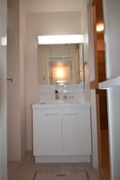 洗髪洗面化粧台 ウルス カンパーニュ