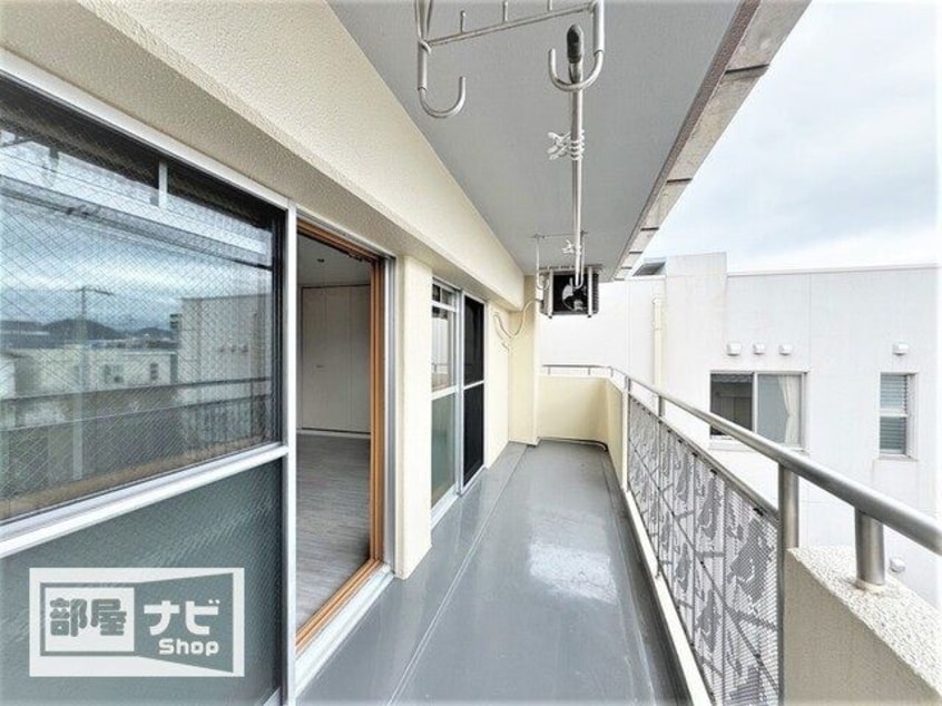  クリスタルパレス