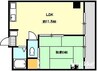 コンフォール錦町 1LDKの間取り