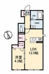 アルフラット 1LDKの間取り
