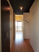  コリドールサン