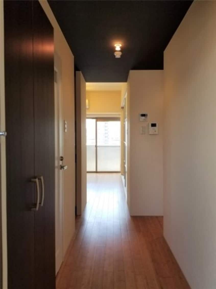  コリドールサン