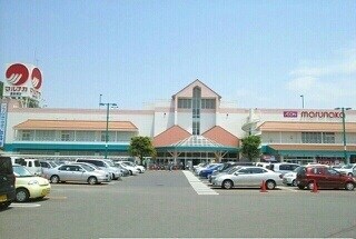 その他 ニューエルディム土居