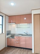 キッチン アロッジオＫ３　Ａ