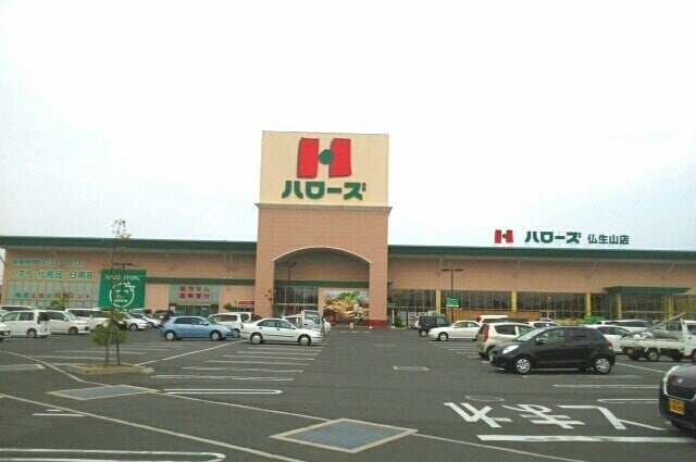 その他 グランディス　Ｂ