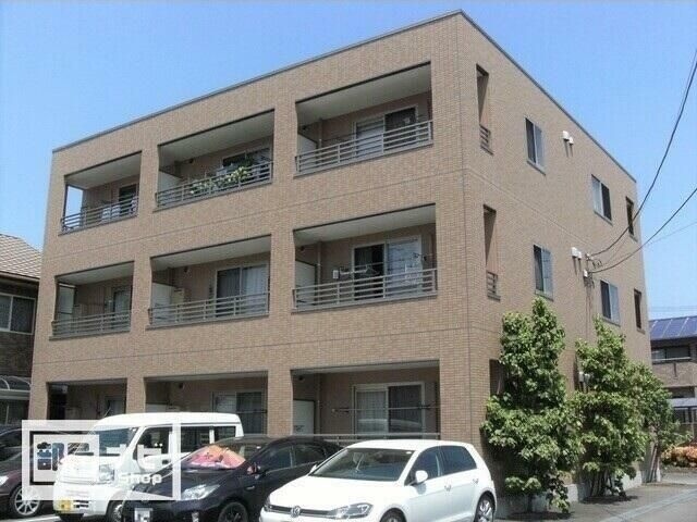  エバーグリーン