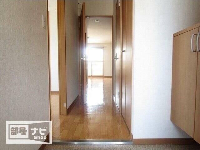  エバーグリーン