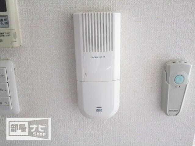  エバーグリーン