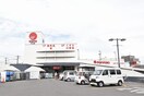 マルナカ木太店 プルミ・エール C棟