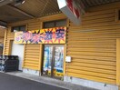 新鮮市場きむら木太店 0.5km ソレイユ木太