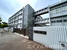 新番丁小学校(小学校)まで517m パステル１