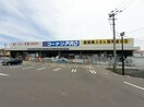 その他 フランⅠ