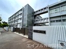新番丁小学校(小学校)まで832m ガーデンハイム昭和町