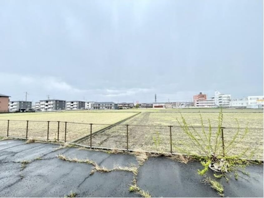  グレースハタオカ