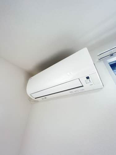  バリュージュグリーン D