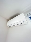  バリュージュグリーン D