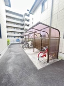  バリュージュグリーン D