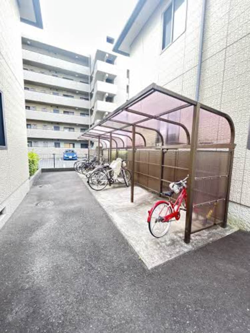  バリュージュグリーン D