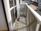  カサベルデ Ⅱ棟