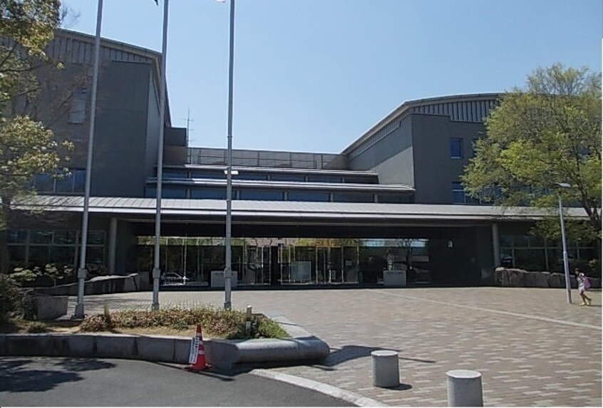 その他 スカイ・パームＣ