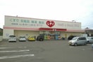 その他 フォルシュ・ヴェーラⅡＤ