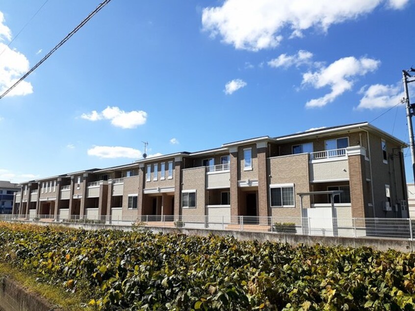 外観写真 プラタナス