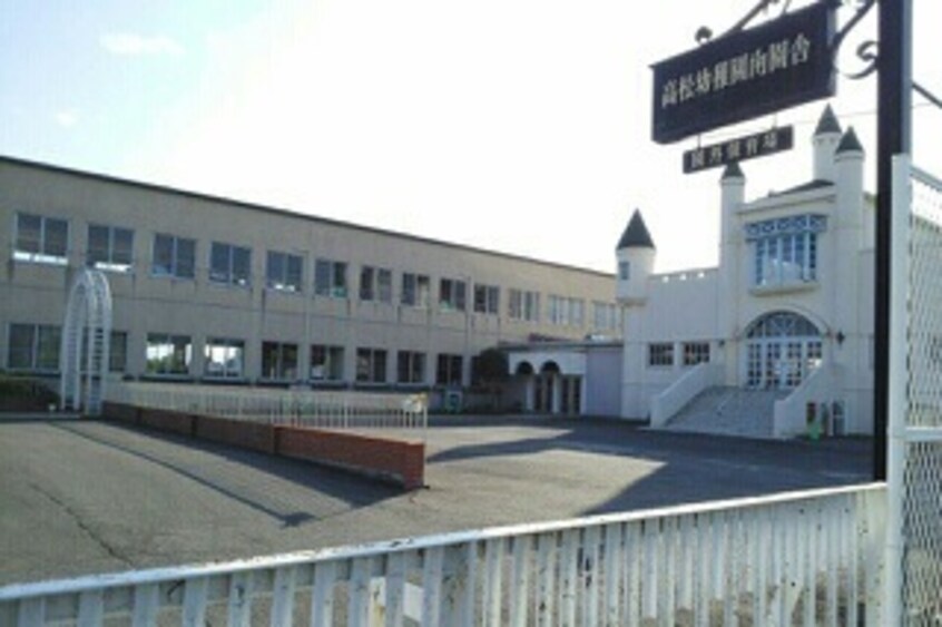 その他 プラタナス