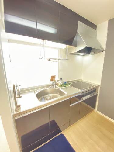  ハンプトンコート