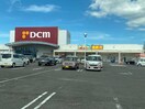 DCMダイキ上福岡店(ショッピングセンター/アウトレットモール)まで607m ラルジュ玉藻