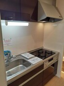 キッチン グローヴ・ガーデンⅨ