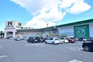 ハローズ栗林公園店 ヒルクレスト上之町