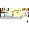 カルテット B棟 1LDKの間取り