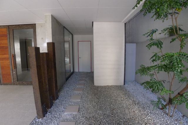  リンヒナーノｈ+