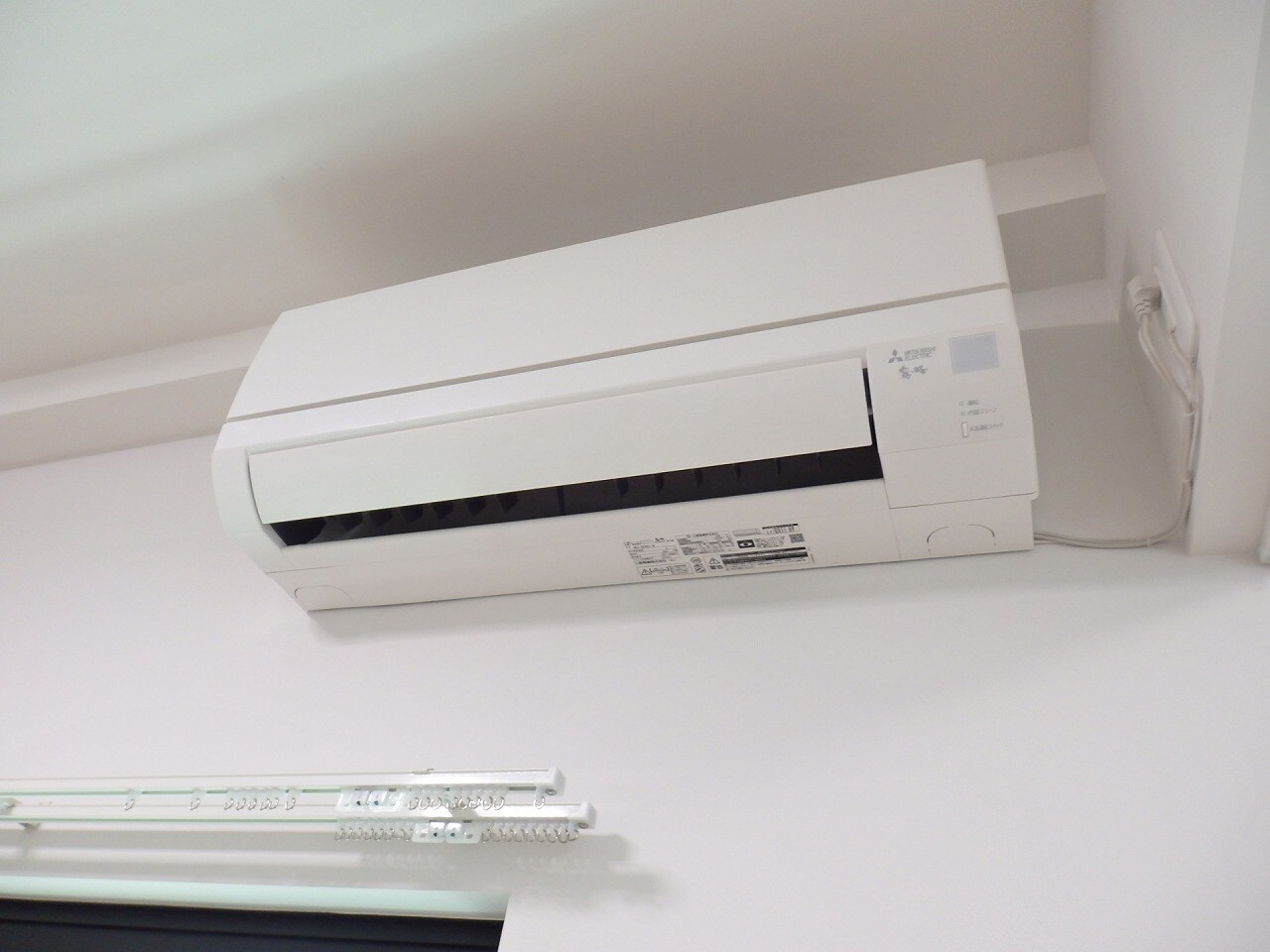  コリドールリブ