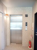  コリドールリブ