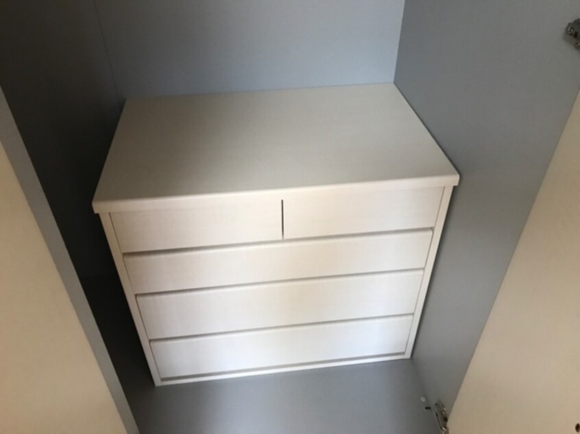 収納タンス ヴィーナス