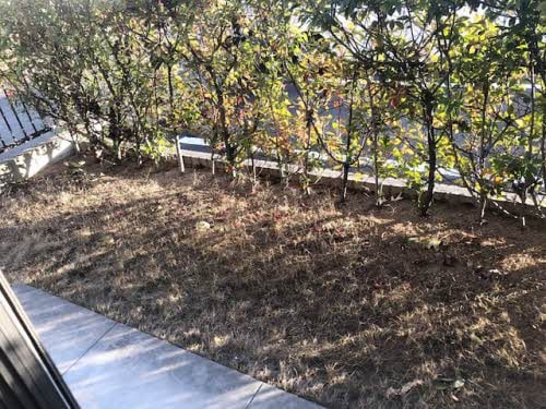  バリュージュJIN A棟