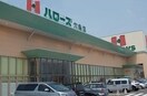 その他 サニーハウス