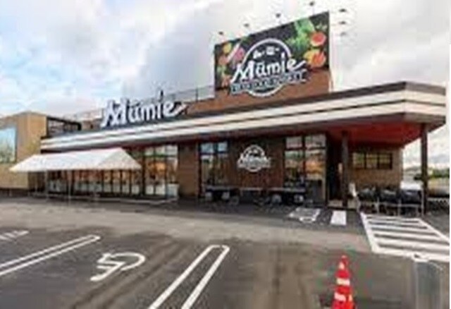 その他 アントヒルＢ