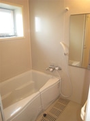  コリドールシュッド