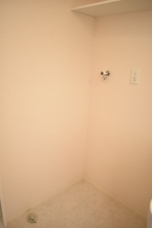 ※写真はイメージです アルフレッサⅡ