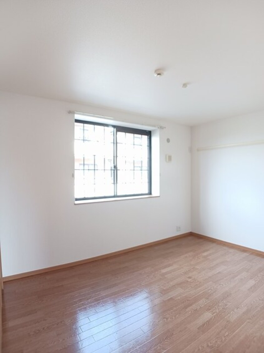 その他 プラシードＢ