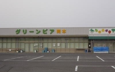 その他 エルフローラ