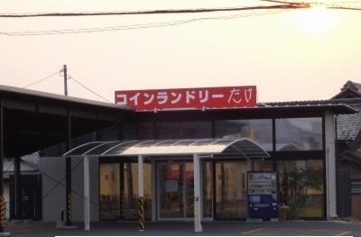 その他 エルフローラ