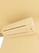  シャーメゾン空港通り B棟