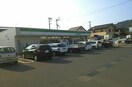 その他 レユシール