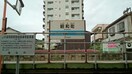 その他 ダウンタウンヒルズ